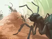 ants io 1