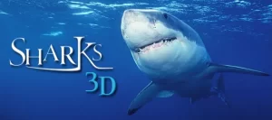 sharks 3d 1